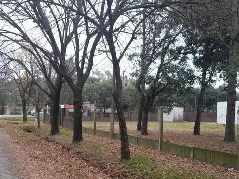 Terreno en Venta 12  mts Fondo