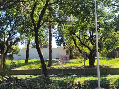 TERRENO EN RICARDONE SOBRE RUTA