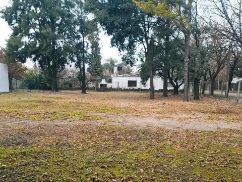 Terrosa al 600