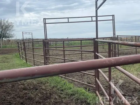 Campo de 300 hectáreas en R36 (km 50) y Camino a Payro - Magdalena
