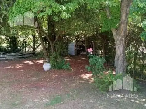 FLORENCIO SANCHEZ al 100