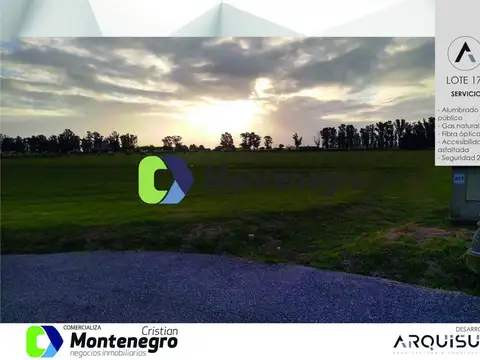 Terreno en Venta de 1956,0 m2