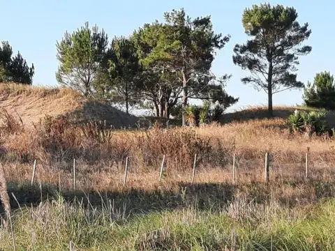 Campo en venta - 44.800Mts2 - General Juan Madariaga