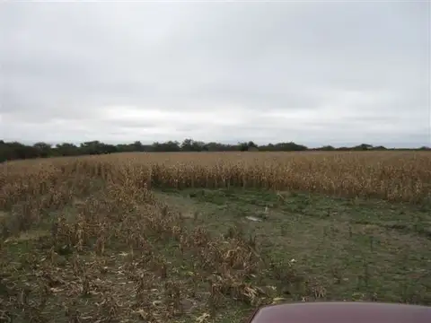 Campo en Venta con Alambrado