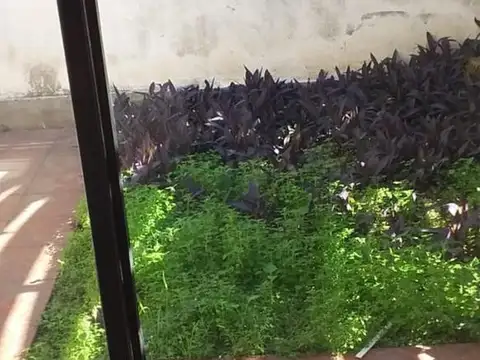 Avenida Alcorta e/ Remedios de Escalada de San Martín y Vicente López y Planes