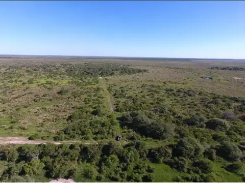 CAMPO GANADERO, Dpto Garay, 250 has.
