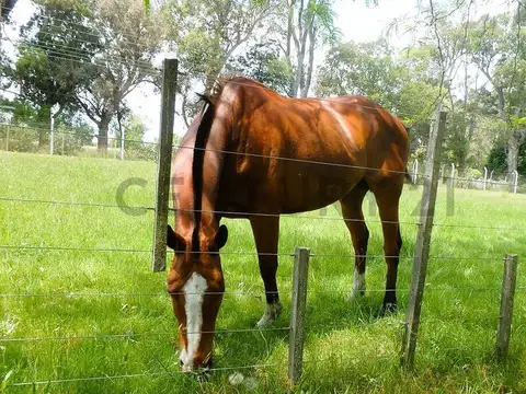 Av. Soberanía Nacional y Av.Arturo Jauretche , Piso 0