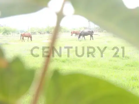 OPORTUNIDAD | LOTE DE 750 m² EN COUNTRY EL PARAÍSO – GOLF, HÍPICO Y SEGURIDAD 24