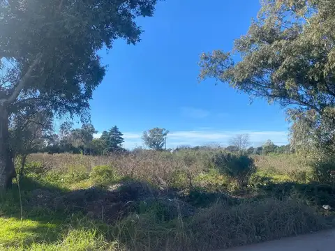 Terreno en Alquiler en Villa Astolfi, USD 1.000
