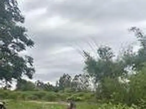 Terreno en El Galpón