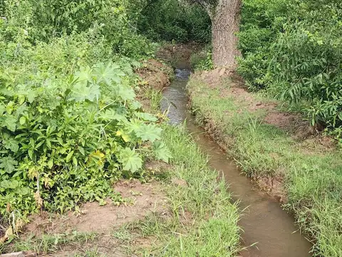 El Galpón  al 1000