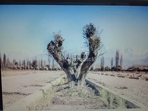 Ruta Provincial 15 sin Numero