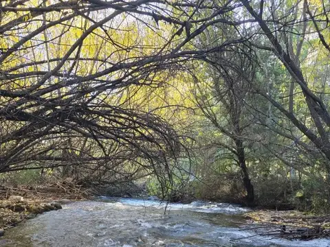 Ruta 40 Km 1900