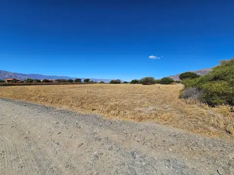 Cafayate. Estancia de Cafayate. Lote 100