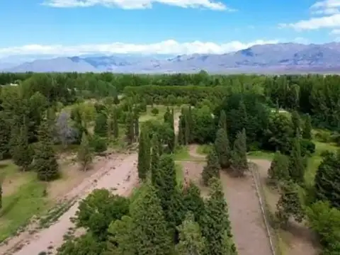 Terreno en Venta en Vistalba, USD 33.000