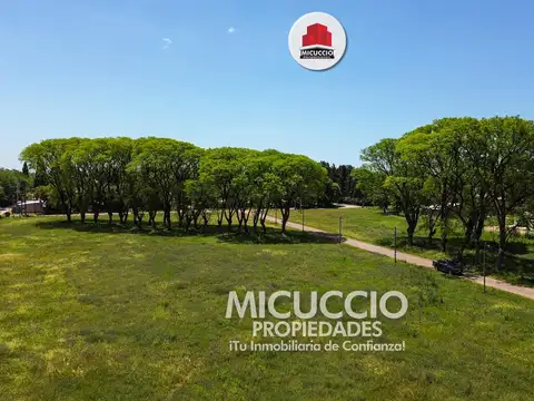 Terreno en Venta en Centro, USD 32.000