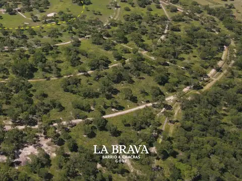 Ruta 16 - KM 41