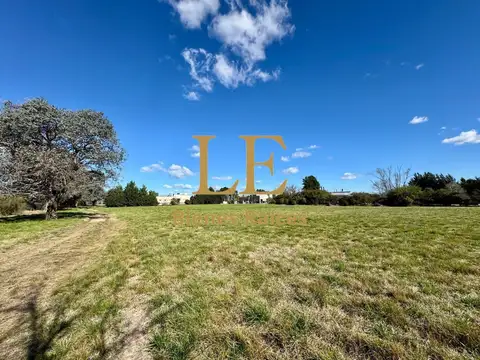 Terreno en Venta de 6200,0 m2