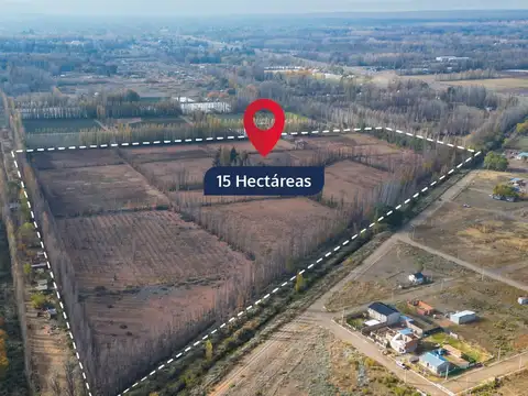 VENTA CHACRA APTA DESARROLLO 15 HECTAREAS PLOTTIER