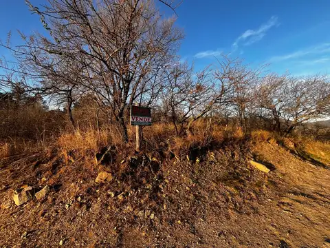 Terreno en Venta 40  mts Fondo