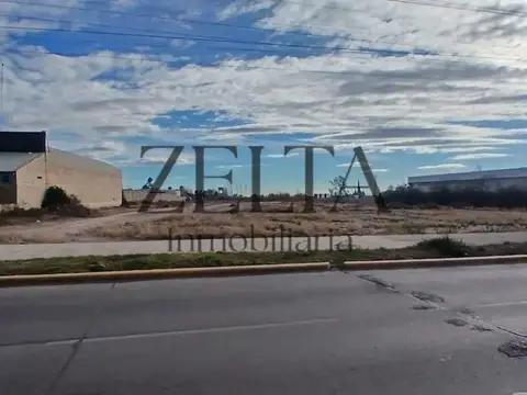 Carril Rodriguez Peña 3300