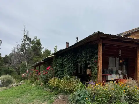 Los Cipreses ? Chacra en Venta | 4 Hectáreas