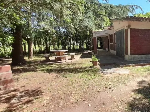 Corrientes 800