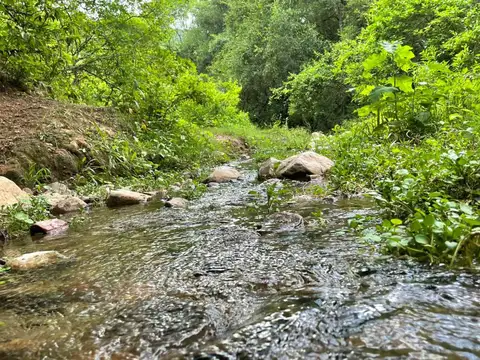 Campo en VENTA - Capital - Salta
