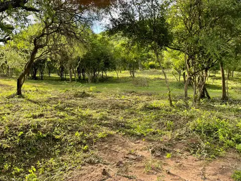 Terreno en Venta en Higuerillas, USD 780.000