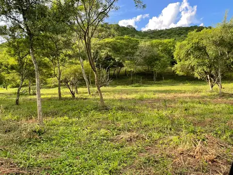 Terreno en Venta de 390000,0 m2