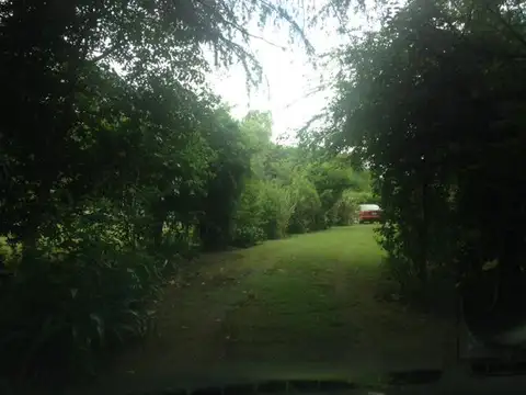 Quinta - Carlos Spegazzini