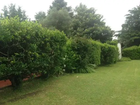 Spegazzini, Km 41 R al 200