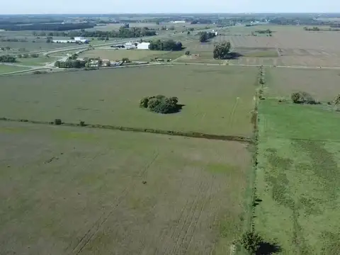 31,12 HECTAREAS SOBRE RUTA 9 . A 17 KK DE ZARATE BRAZO LARGO. IDEAL CHACRA, BARRIO CERRADO, ECT