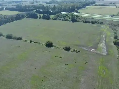 31,12 HECTAREAS SOBRE RUTA 9 . A 17 KK DE ZARATE BRAZO LARGO. IDEAL CHACRA, BARRIO CERRADO, ECT