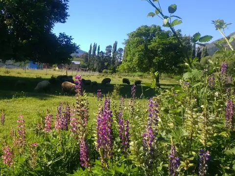 Terreno en Venta de 2000,0 m2