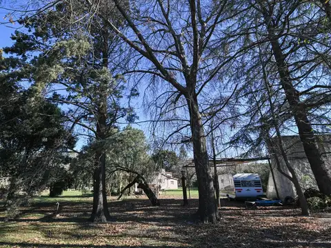 Se alquila quinta barrio Los Robles Venado Tuerto