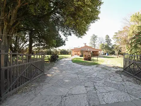 Ruta 8 y Las Gaviotas 100