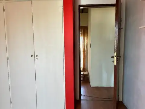 Jacinto Rosso 517