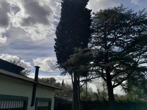 Estanislao dl campo 200