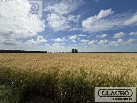ruta 193, Solis, Provincia de Buenos aires