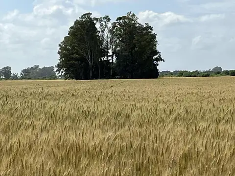 ruta 193, Solis, Provincia de Buenos aires