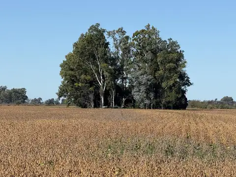 En venta muy lindas hectareas en Solis, Provincia de Buenos Aires