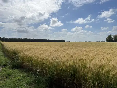 ruta 193, Solis, Provincia de Buenos aires