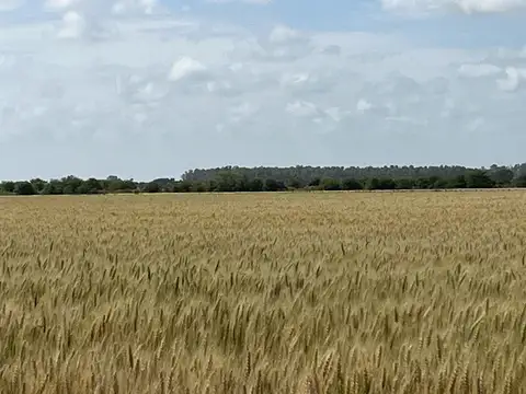 En venta muy lindas hectareas en Solis, Provincia de Buenos Aires