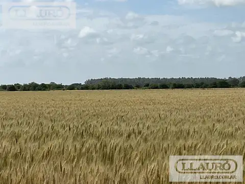 En venta muy lindas hectareas en Solis, Provincia de Buenos Aires