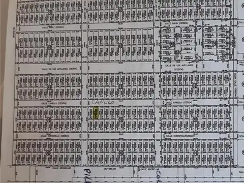 Lote 12,50 X 30 en Nueva Solana