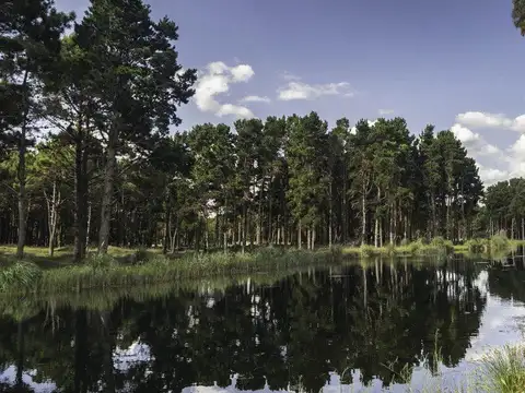 Terreno en Venta de 890,0 m2
