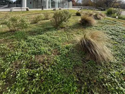 VIVI EN AMALFI , DEPTO 1 DORM EN AQUILER B PALERMO