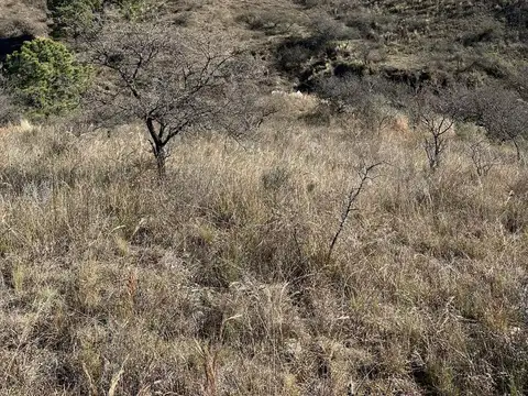 Residencias 4, Potrero de Garay