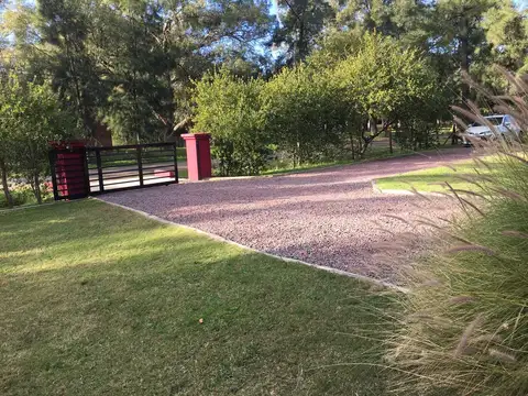 LOS GUINDOS al 100